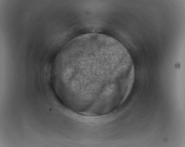 X0000091880030200709261401