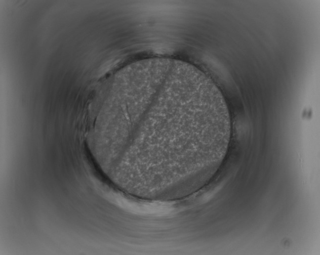 X0000091880032200709261401