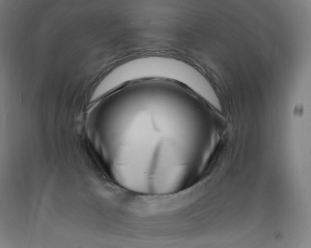 X0000091880033200709261401