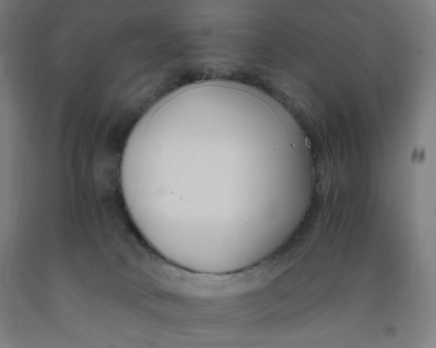 X0000091880034200709261401