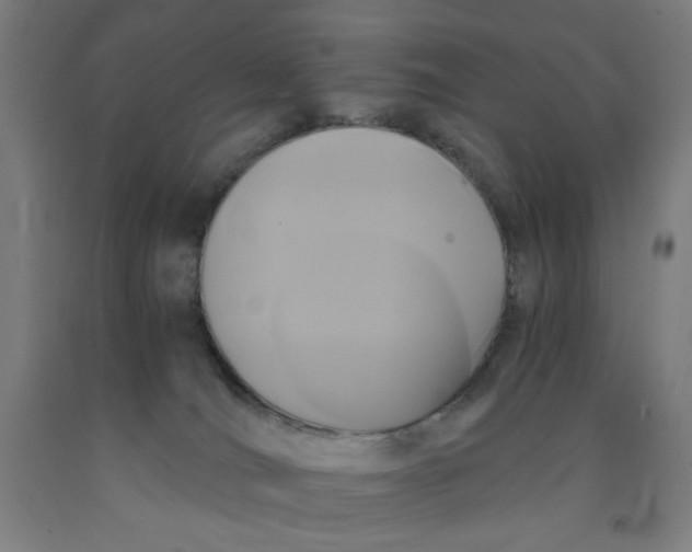 X0000091880036200709261401