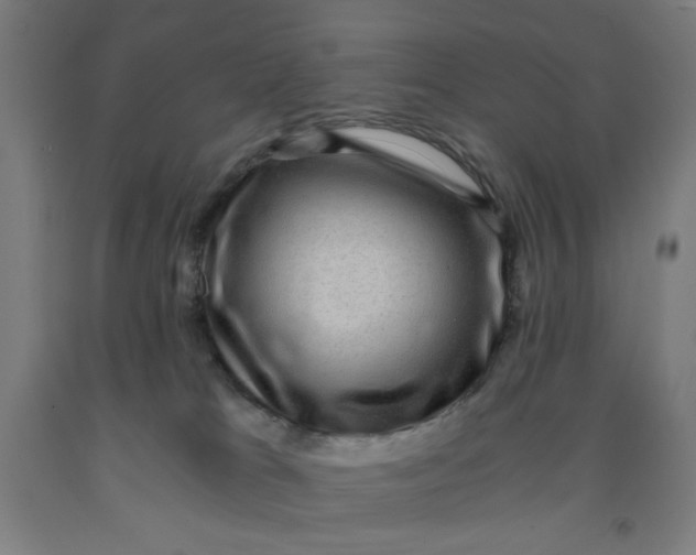 X0000091880037200709261401