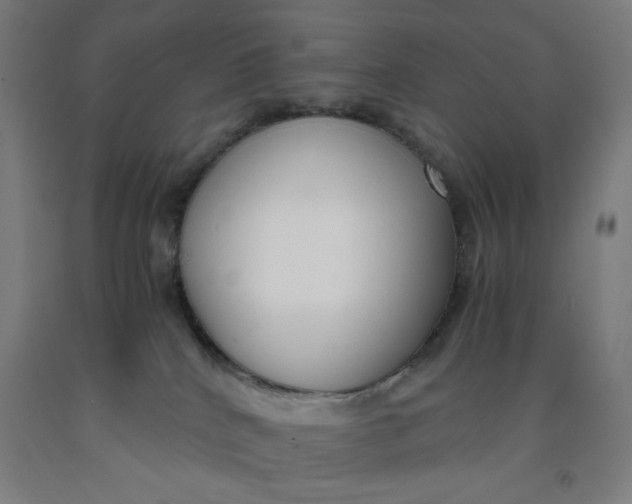 X0000091880040200709261401