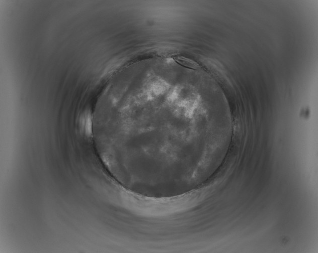 X0000091880046200709261401