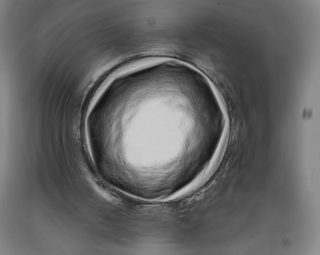 X0000091880050200709261400