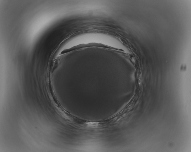 X0000091880052200709261400