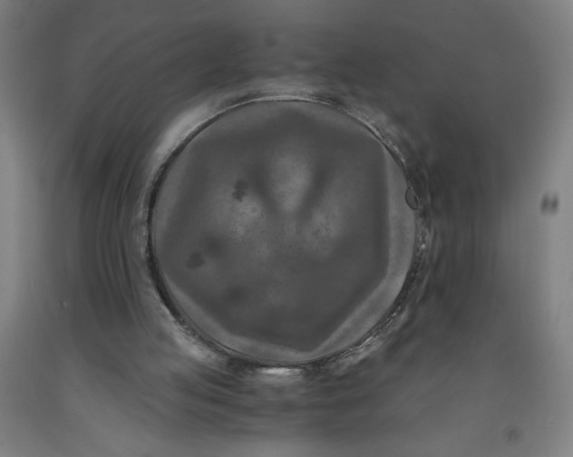 X0000091880053200709261400