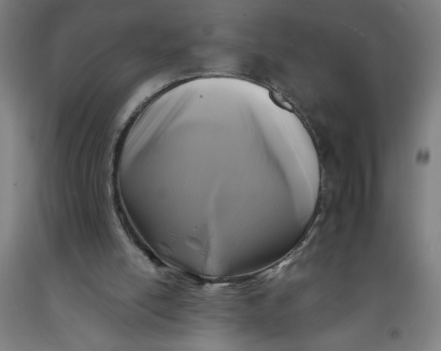 X0000091880054200709261400