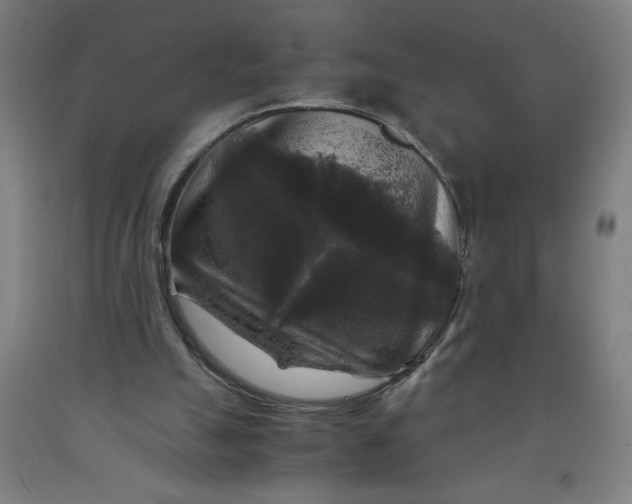 X0000091880055200709261400