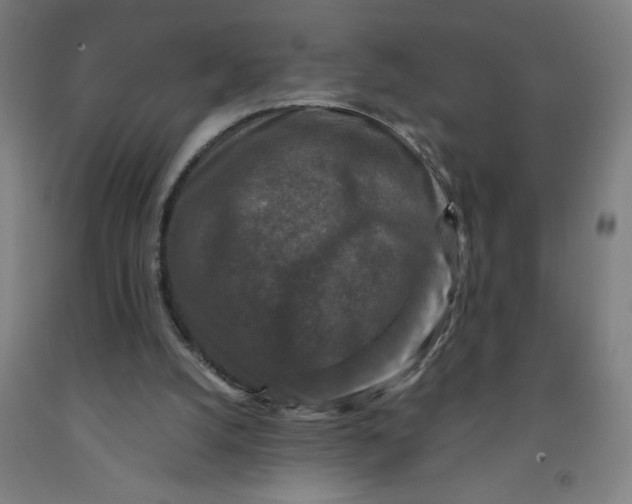 X0000091880056200709261400