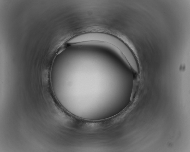 X0000091880057200709261400