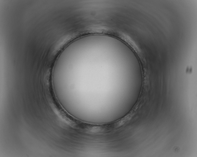 X0000091880058200709261400