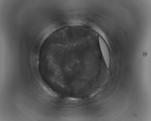 X0000091880059200709261400