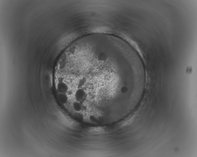 X0000091880061200709261400