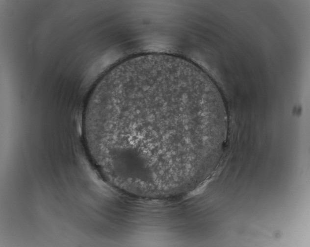 X0000091880062200709261400