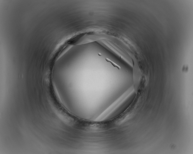 X0000091880064200709261400