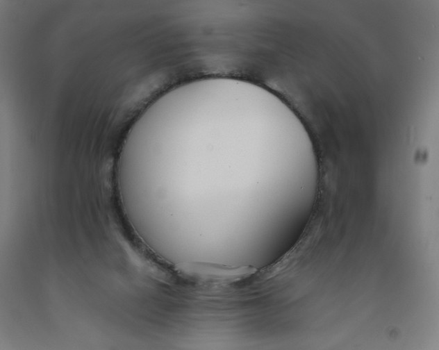 X0000091880066200709261400