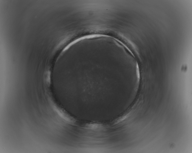 X0000091880067200709261400