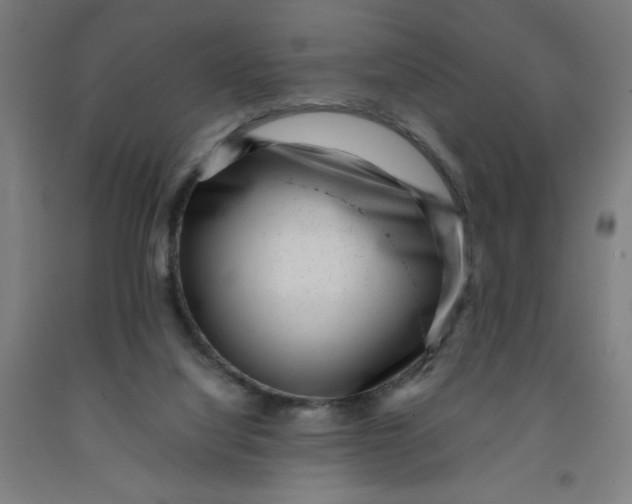 X0000091880068200709261400