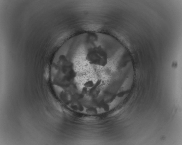 X0000091880069200709261400