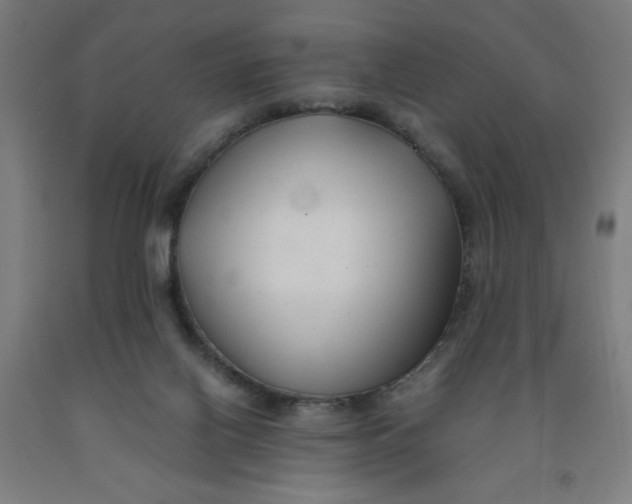 X0000091880070200709261400