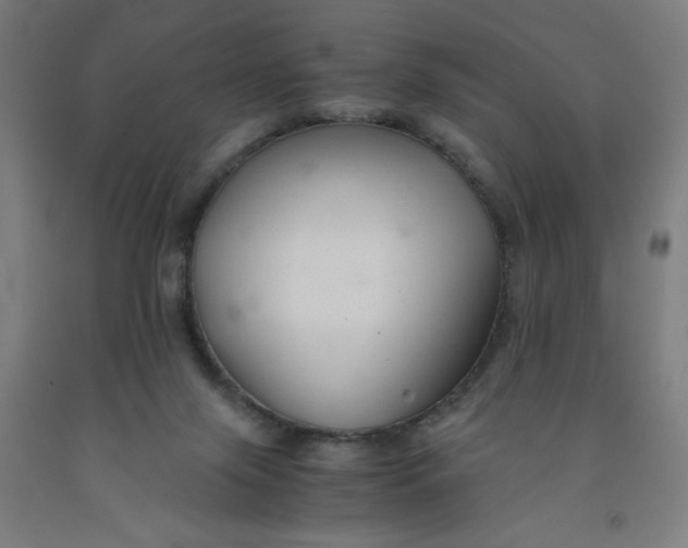 X0000091880071200709261400