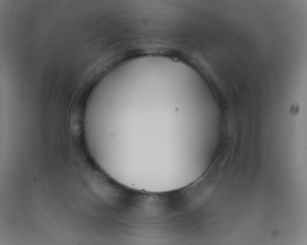 X0000091880074200709261400