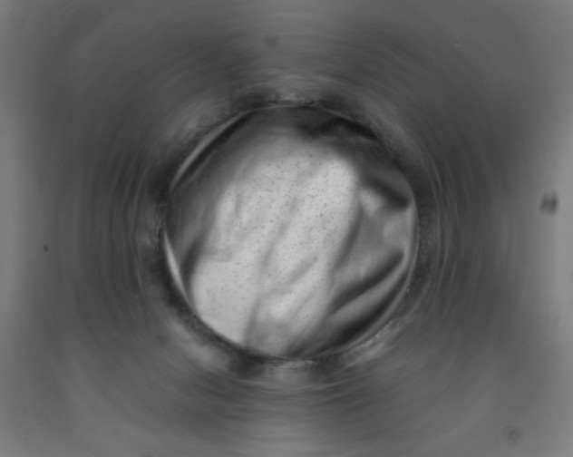 X0000091880078200709261400