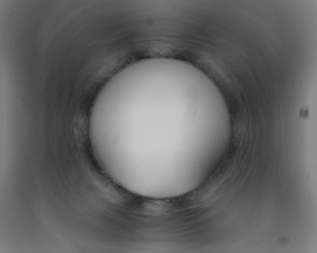 X0000091880079200709261400