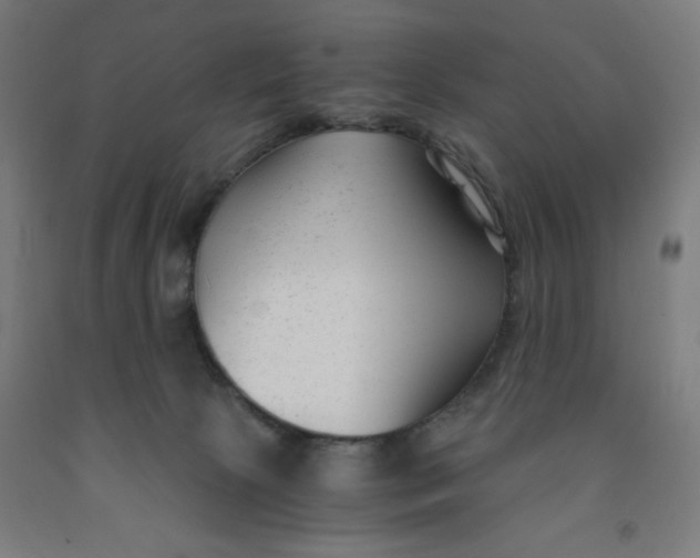 X0000091880081200709261400