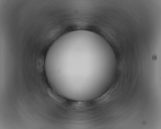 X0000091880082200709261400