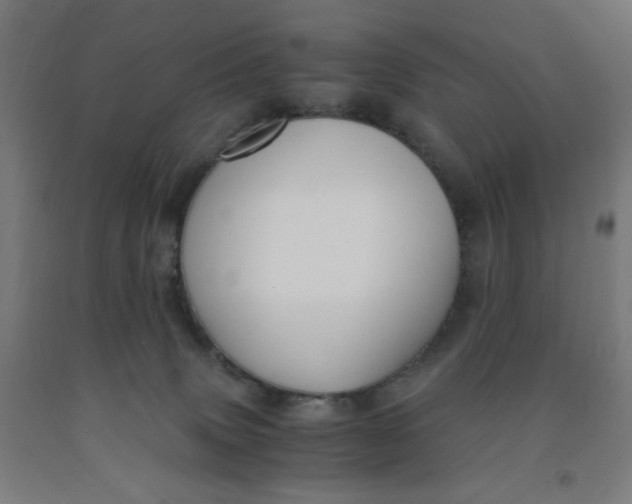 X0000091880083200709261400