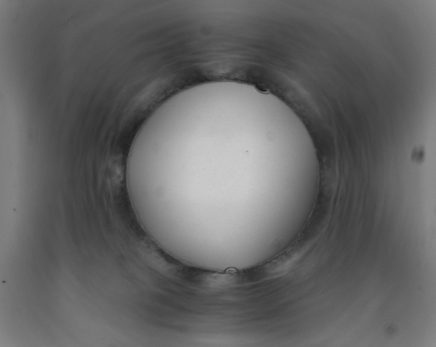 X0000091880085200709261400