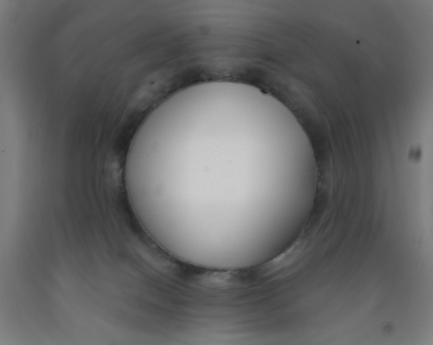 X0000091880086200709261400