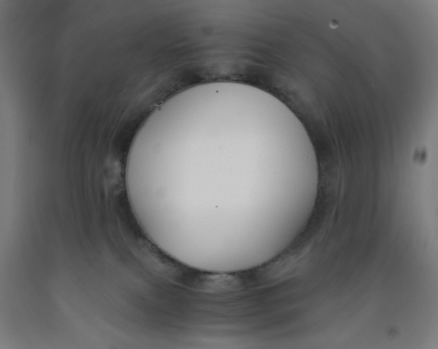 X0000091880087200709261400