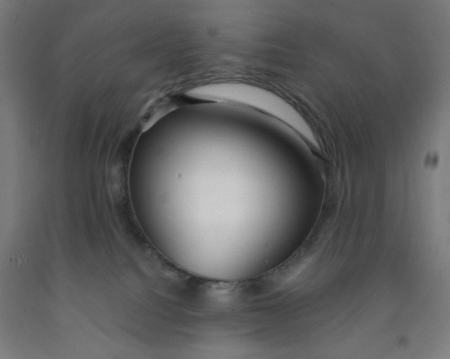 X0000091880088200709261400