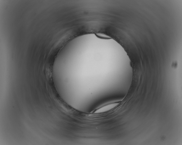 X0000091880091200709261400