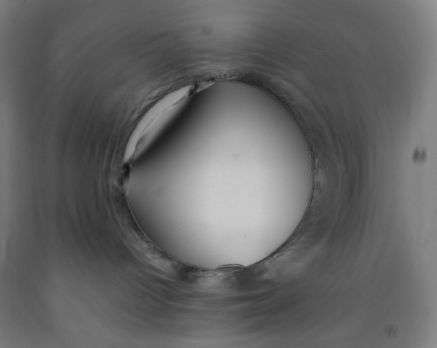 X0000091880096200709261401