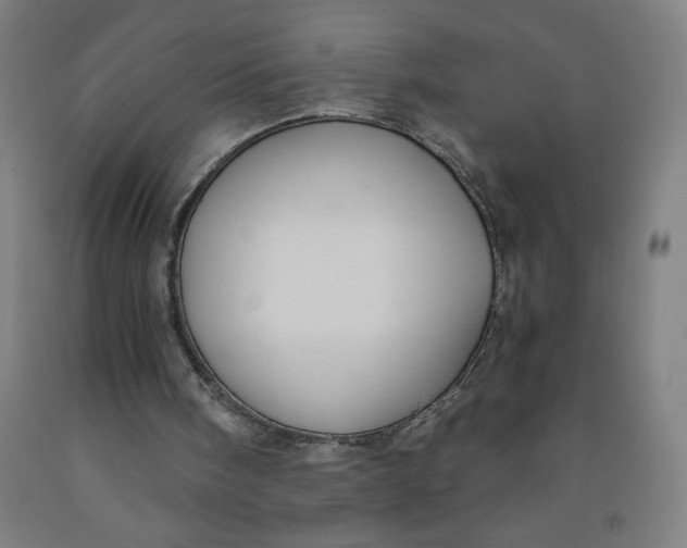 X0000091880098200709261400