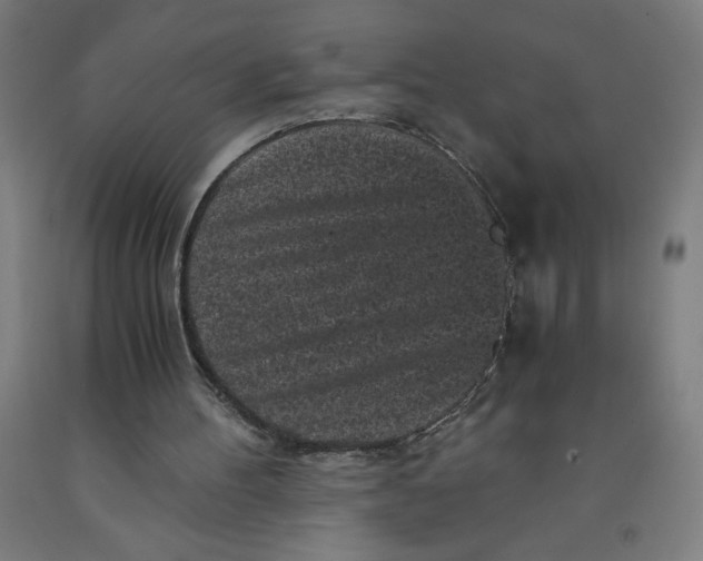 X0000091880100200709261400