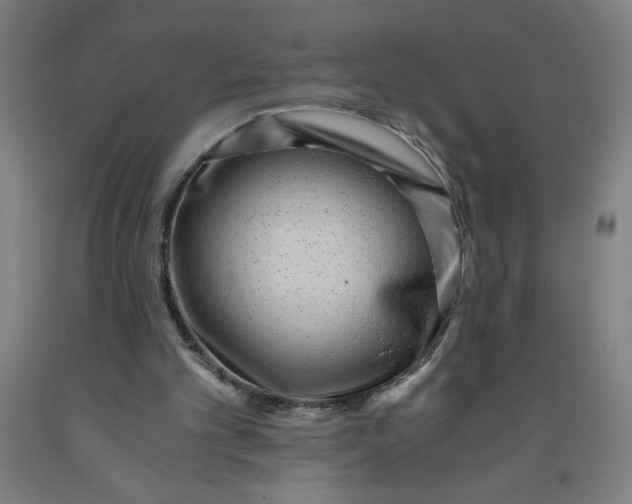 X0000091880101200709261400