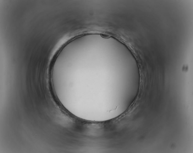 X0000091880102200709261400