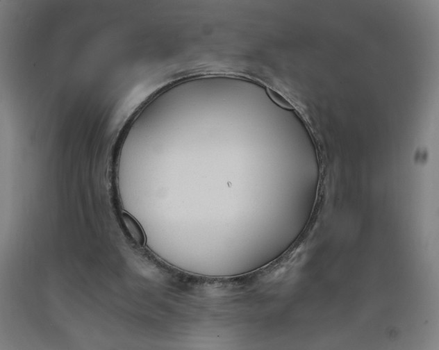 X0000091880103200709261400