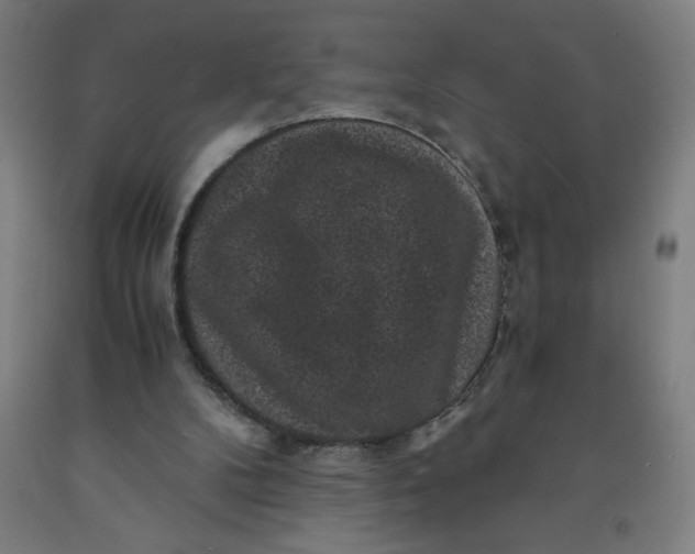 X0000091880104200709261400