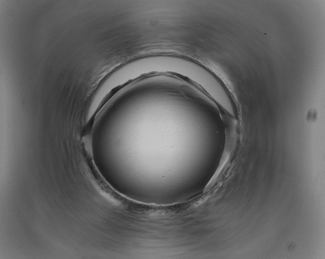 X0000091880105200709261400