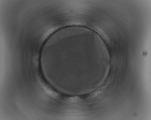 X0000091880112200709261400