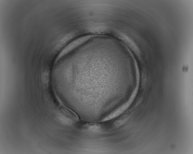 X0000091880113200709261400