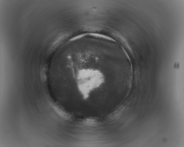 X0000091880114200709261400