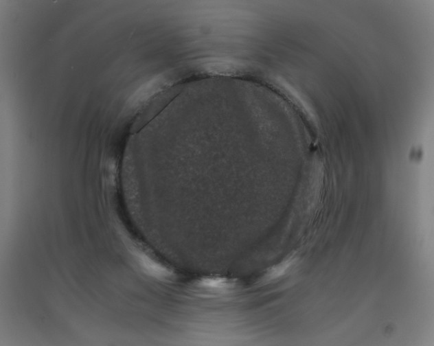 X0000091880117200709261400