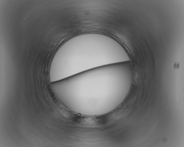 X0000091880121200709261359